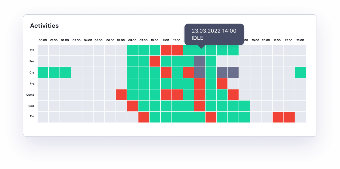Save Time with Automatic Reports
